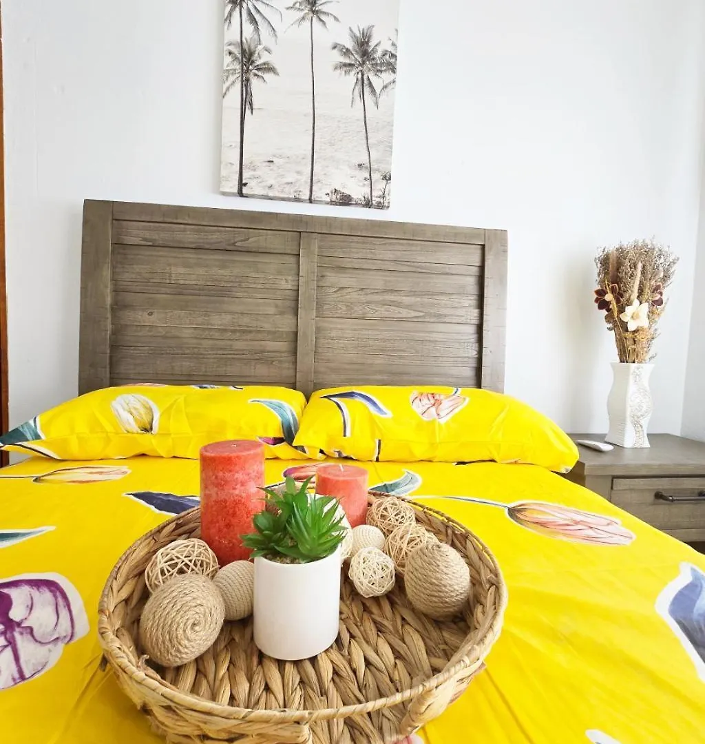 Casa Palmera Vega Baja