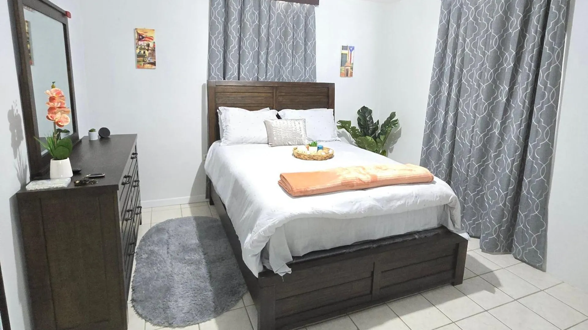 Casa Palmera Vega Baja